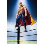 S.H.FIGUARTS - TIGER MASK