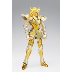 SAINT CLOTH MYTH EX AQUARIUS HYOGA