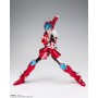 SAINT SEIYA STEEL SAINT SKYCLOTH SHO
