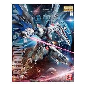 MG FREEDOM GUNDAM Ver.2.0 1/100 - GUNPLA