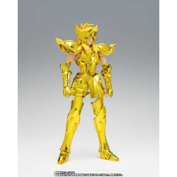 Saint cloth myth ex aquarius hyoga inheritor of the gold cloth